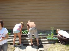 Part of our garden in Minneapolis!