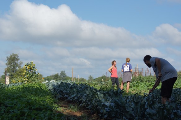 A glimpse into my day at Wild Woods Farm in Solon, Iowa. 