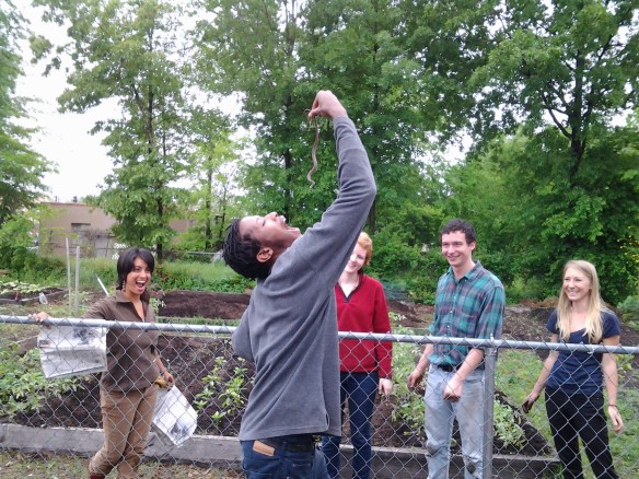 ... and a great environment for other tasty garden friends :)