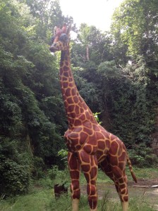 A giraffe, watching over our gathering