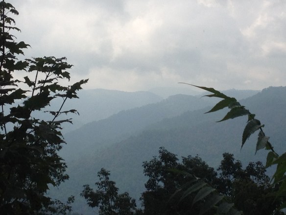 View from Kayford - The Appalachian Rainforest